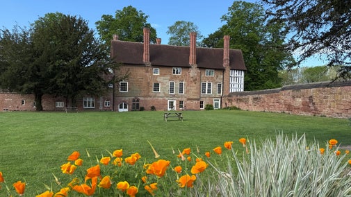 Californian poppies at Charterhouse